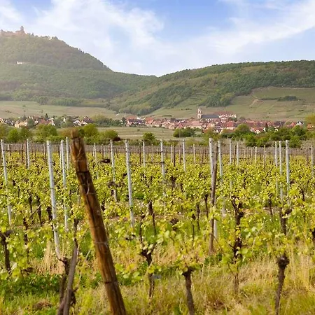 Val-vignes Colmar Haut-koenigsbourg, The Originals Relais